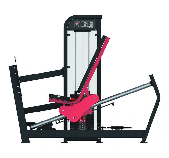 Sitzende Beinpresse