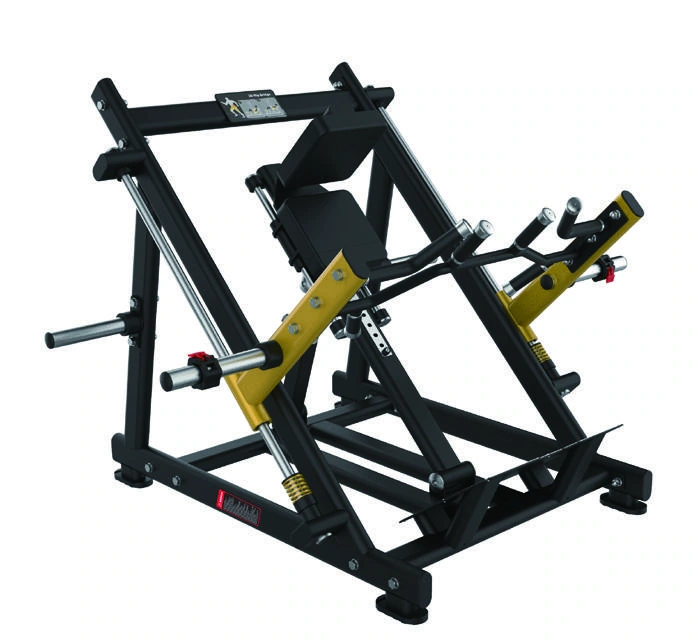 Machine de rowing à double guidage