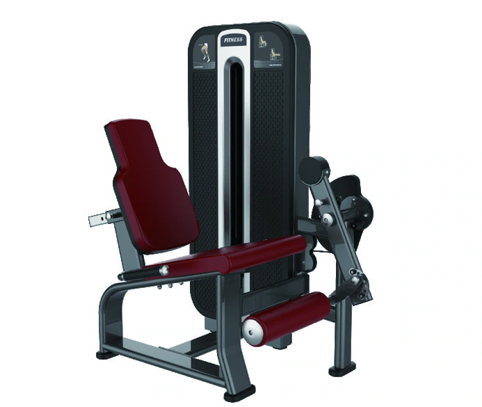 Sitzender Beinstrecker