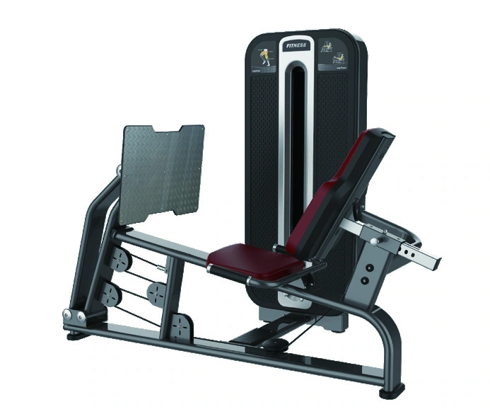 Sitzende Beinpresse