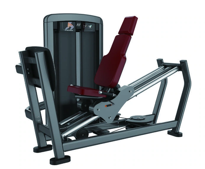 Leg press sentado