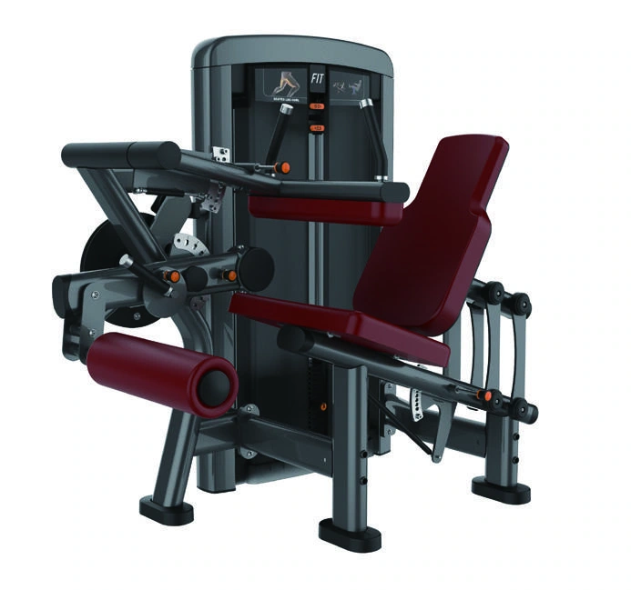 Machine combinée leg curl et leg extension